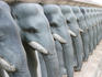 Elephants at Asokararmaya Temple.