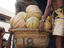Loading pumpkins, Pettah Market.