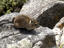 Image_22405-6