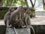 Elephanta Island, Mumbai