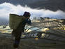 Hani woman carrying basket looking over water filled rice terraces at sunrise.