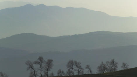 Image_22414-53