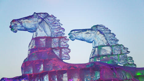 Image_22414-7