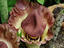 Image_22416-6