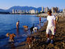 Looking towards the city from Vanier Park.