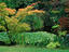 Image_22420-39