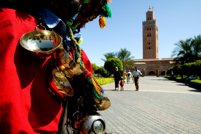 Waterseller at Koutoubia Mosque and gardens.