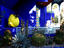 The Majorelle Gardens, Marrakesh