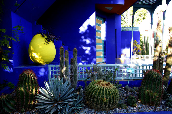 The Majorelle Gardens.