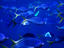 Image_22442-4