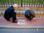 Image_22465-34