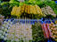 Image_22465-79