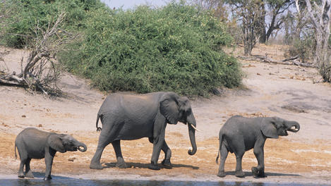 Image_22493-2