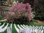 Image_22496-3