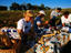 Picnic, Tuscany