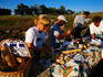 Picnic in the countryside.