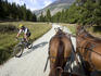 Cyclist crossing path of horse-drawn carriage near Pontresina.