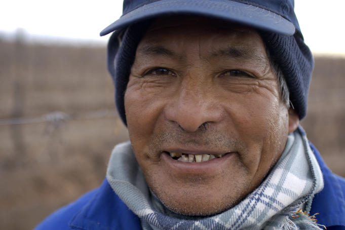 Worker in vineyard, La Consulta.