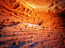 Sandstone formations near Kings Canyon.