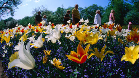 Image_22539-1