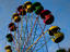 Image_22542-50