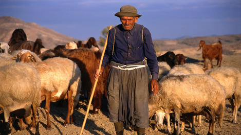 Image_2256-8