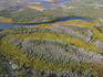 Aerial view of Cape York coastal wetlands, north of Cooktown.