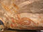 Aboriginal rock art, Arnhem Land