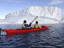 Kayakers paddling among icebergs at Red Island.