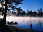 Fishing Bridge region, USA