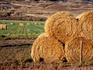 Hay Bales, Wapiti Town, Yellowstone region.