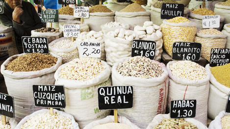 Arequipa Image Gallery