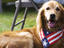 Image_22582-30
