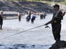 Fishermen lining Ship Creek during salmon run.