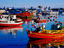 Fishing boats in harbour.