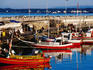 Fishing boats in harbour.