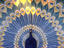 Image_22660-77
