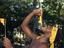 Jamaican Fireeater, Jamaica