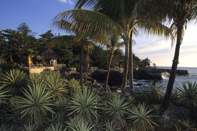 Agaves and Rockhouse Hotel.