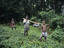 Image_22669-6