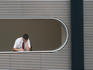 Employee at front desk of National Gallery.