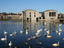Image_22681-78
