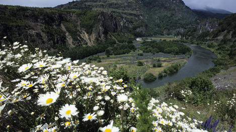 Argentina Patagonia