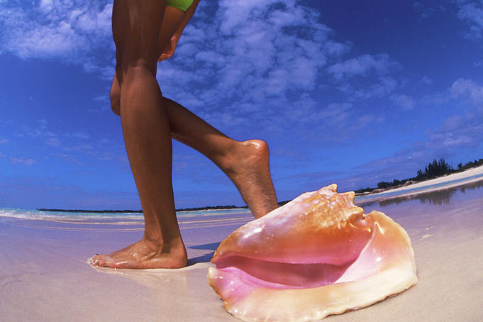 How to choose a Caribbean island