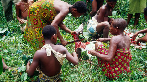 Central African Republic Image Gallery