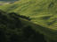 Image_22750-4