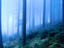 Image_22822-21