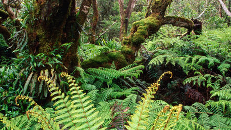 Haleakalā National Park Image Gallery