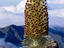 Image_22825-53