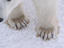 Image_22828-2